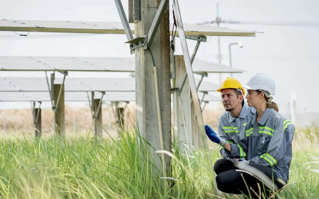 Renting your land for solar farm development: key benefits for landowners