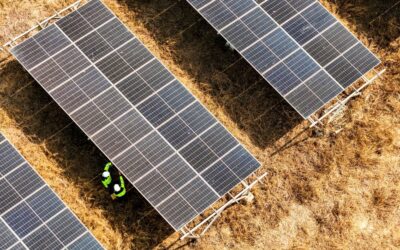 New York Farmers Weigh Solar Leasing vs. Agriculture