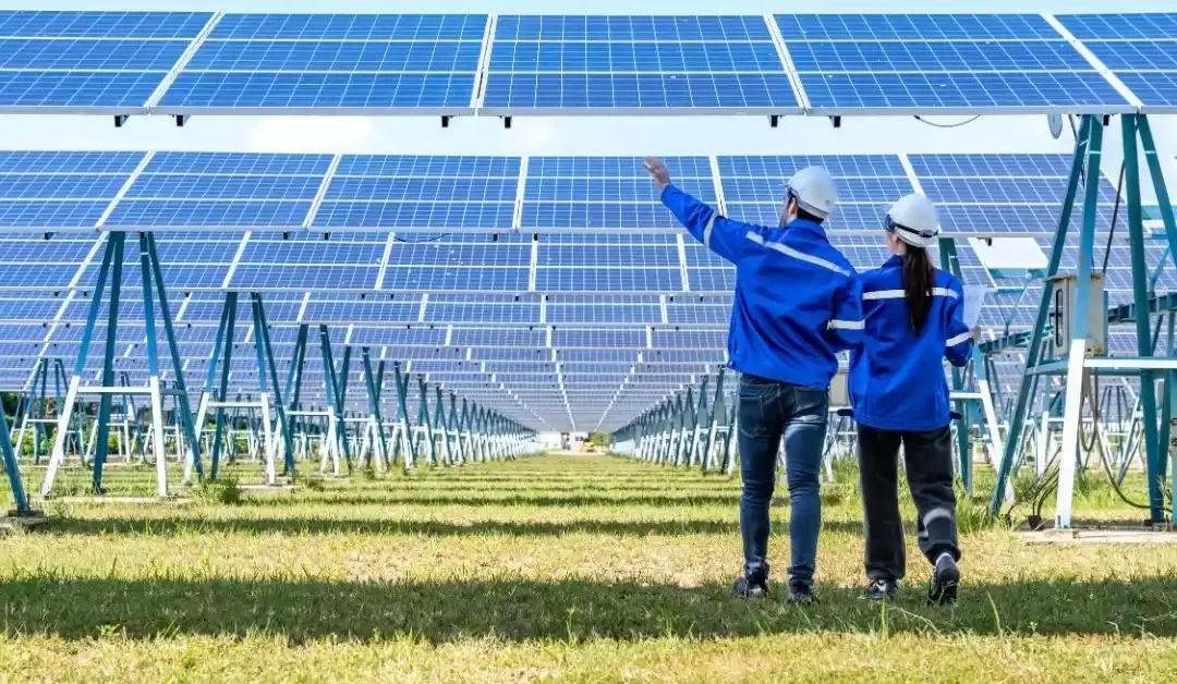 Solar Energy to Surpass Natural Gas in 2025: A Turning Point for Renewables