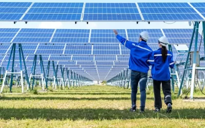 Solar Energy to Surpass Natural Gas in 2025: A Turning Point for Renewables