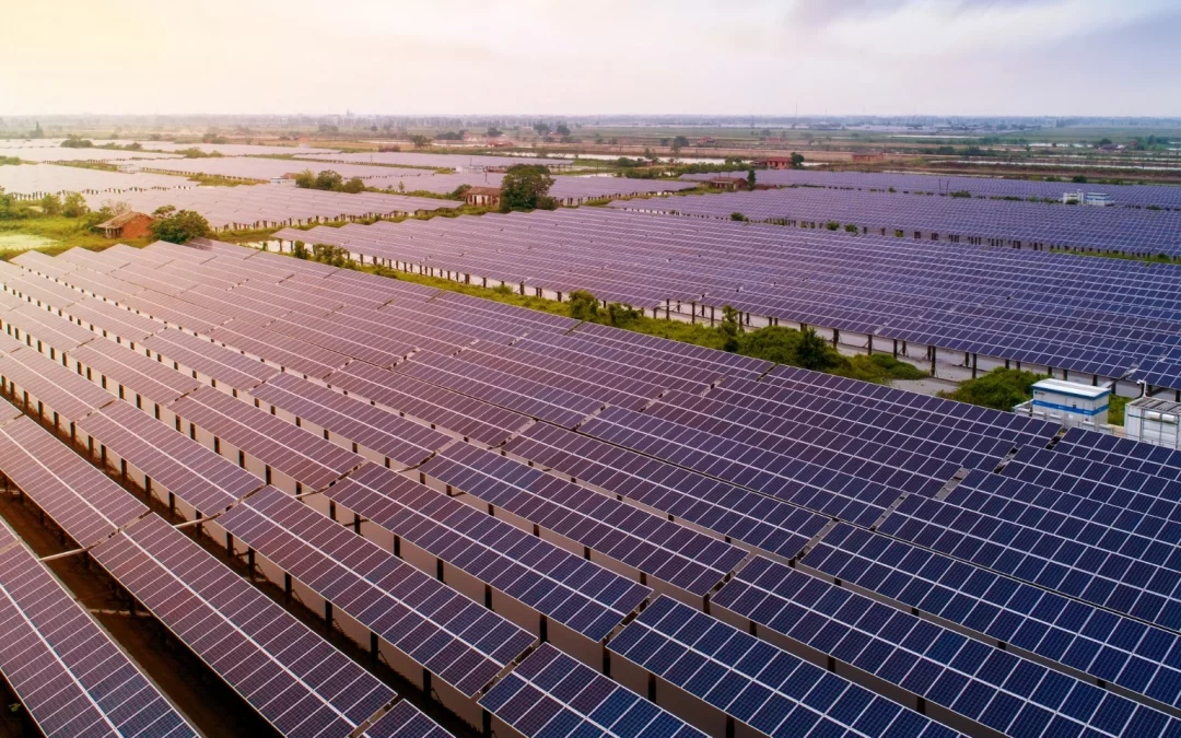U.S. Solar Market Shows Strong Growth in Q2 2025