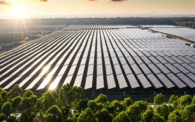 Untapped Solar Potential on U.S. Warehouse Rooftops