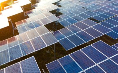 Tech Giants Fuel Growth with Major Solar Investments