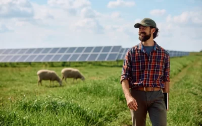 Growing Profits: Solar Energy Outperforms Crop Revenue on American Farms